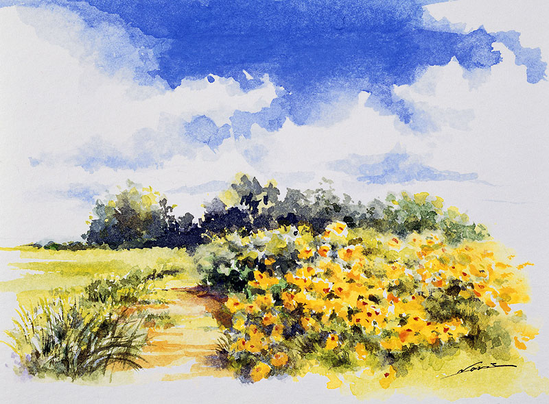 夏の風景イラスト 夏の空と草原と花の風景イラスト